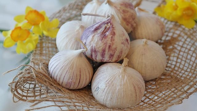 胃腸炎に感染しない為の予防策