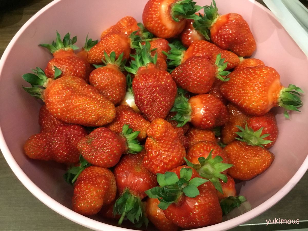 2019年ドイツでイチゴ狩り