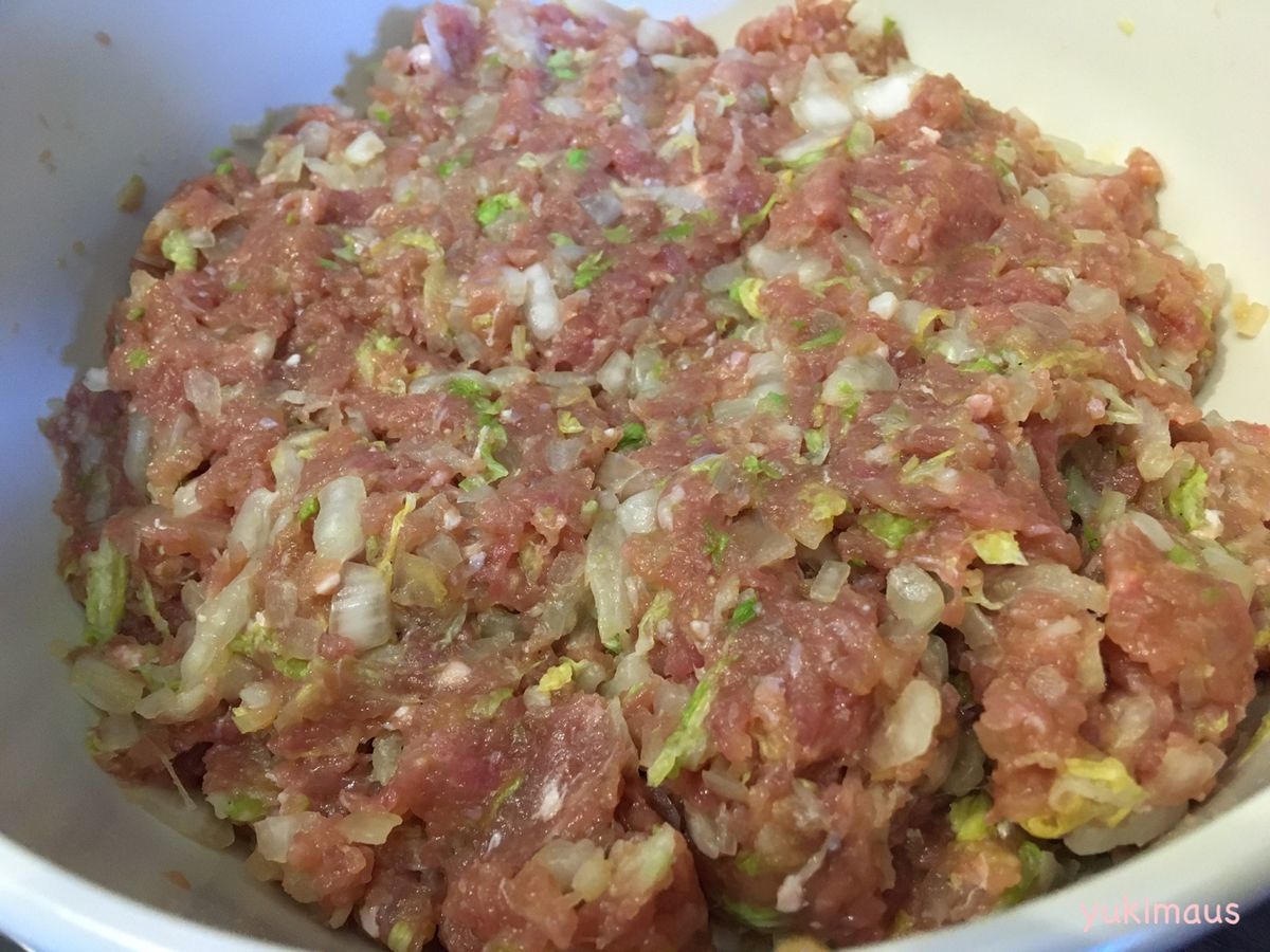 ドイツで手作り餃子