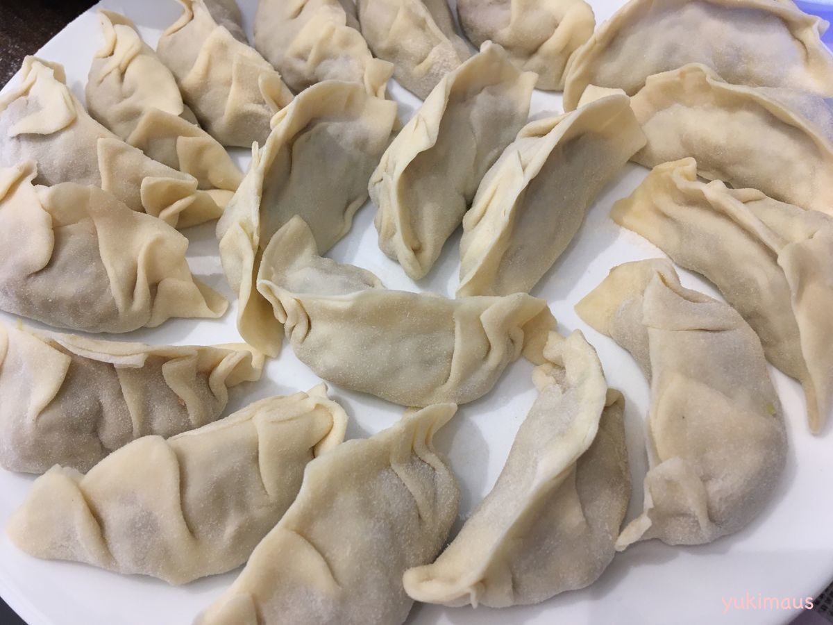 ドイツと日本家族のランチ 手作り餃子
