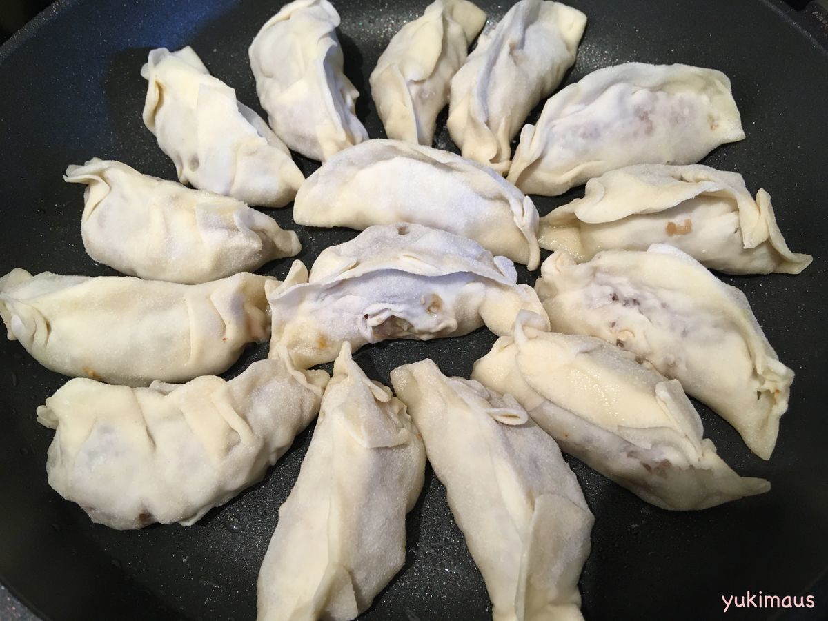 ドイツで手作り餃子