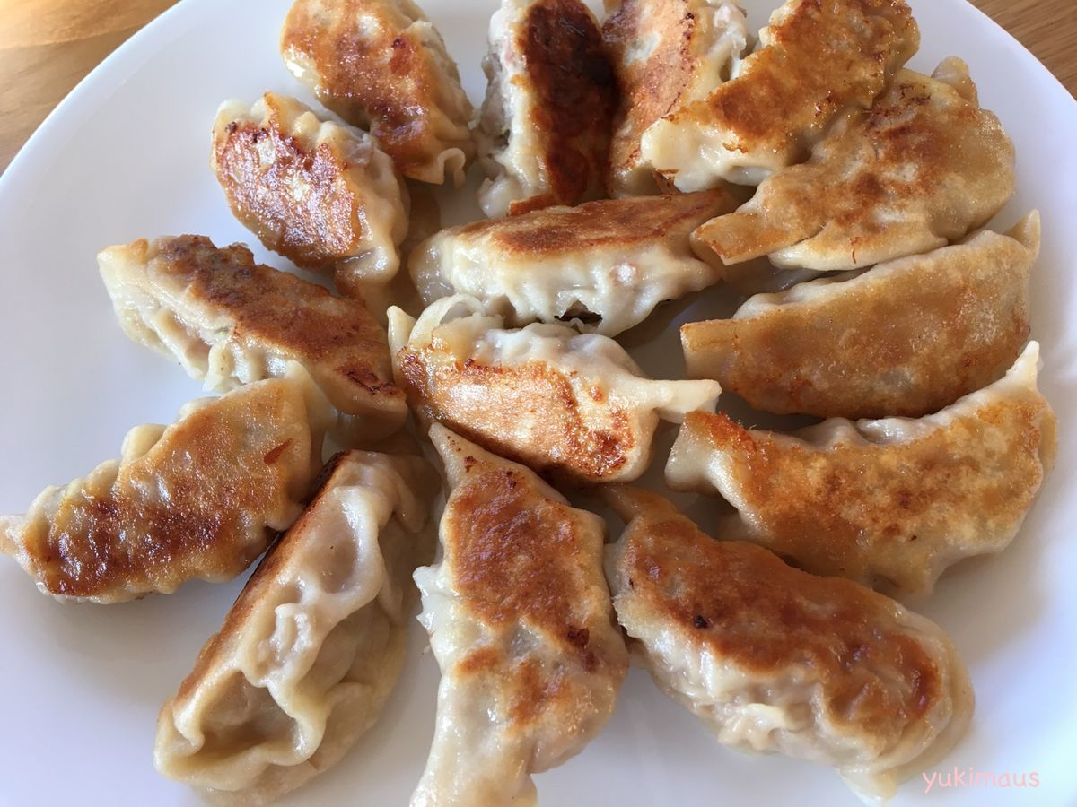 ドイツで手作り餃子
