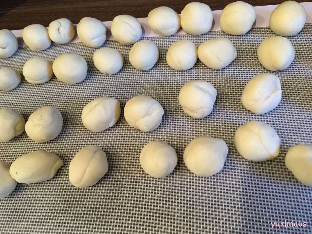 ドイツ スペルト小麦粉で餃子の皮レシピ