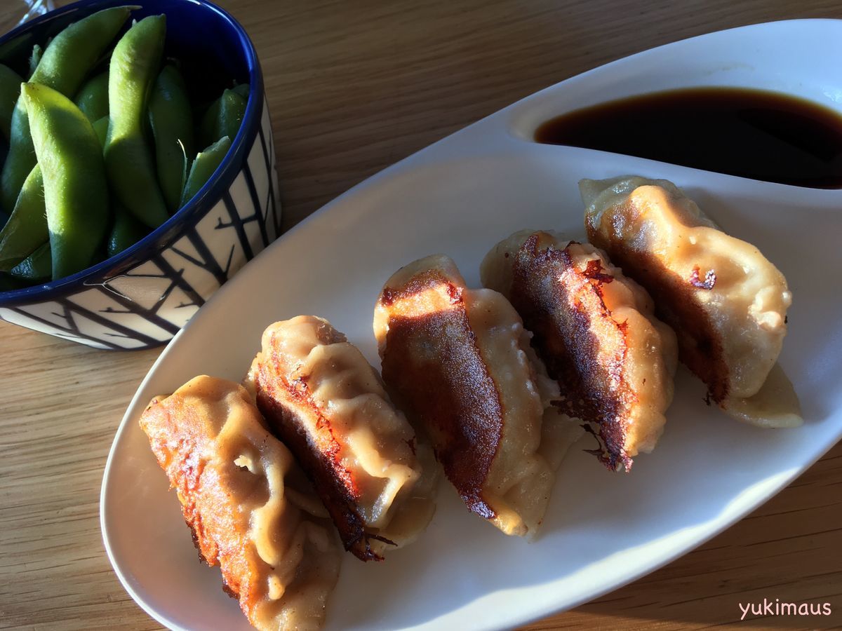 ドイツで手作り餃子