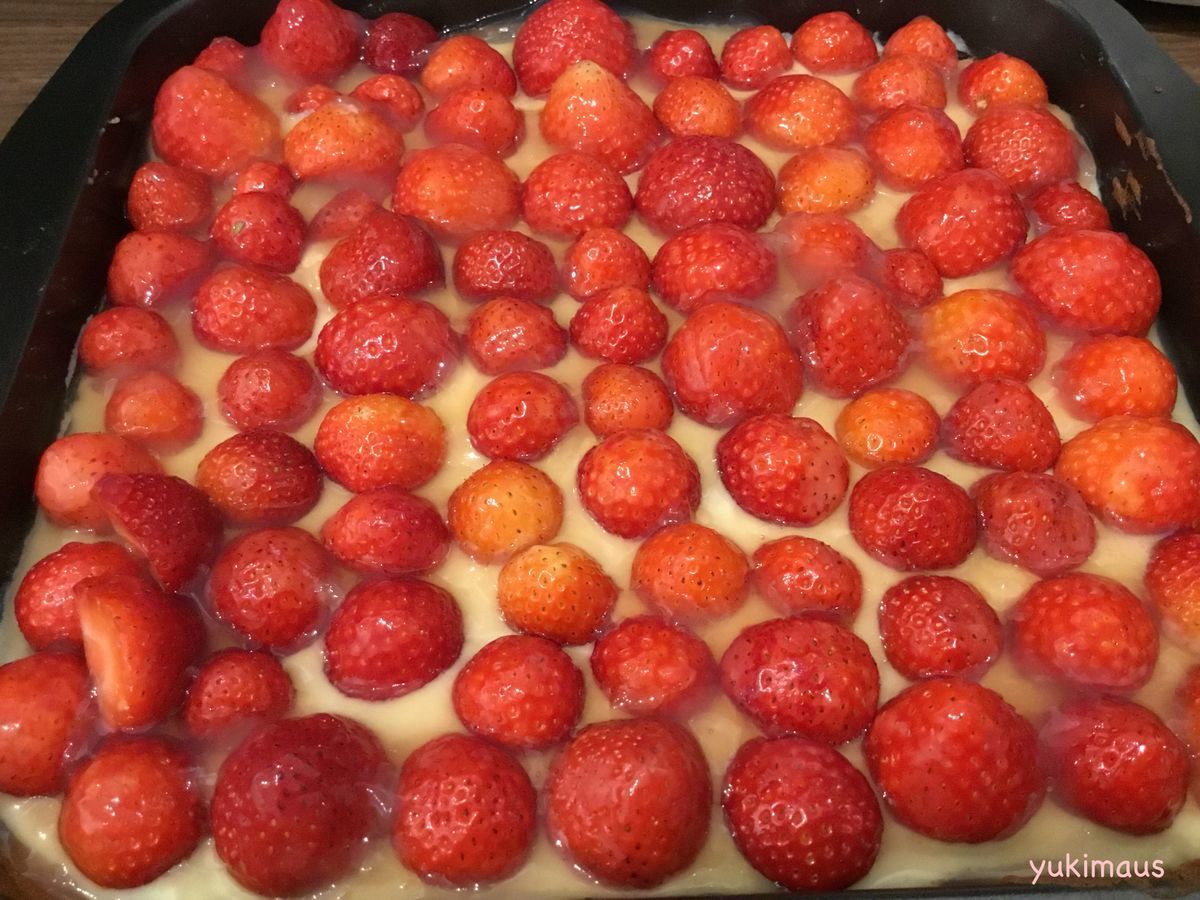 ドイツの家庭の味。いちごケーキ
