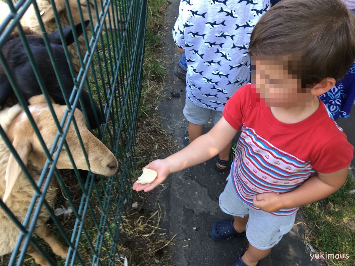 3歳お誕生日 ポニーファームでお誕生日会