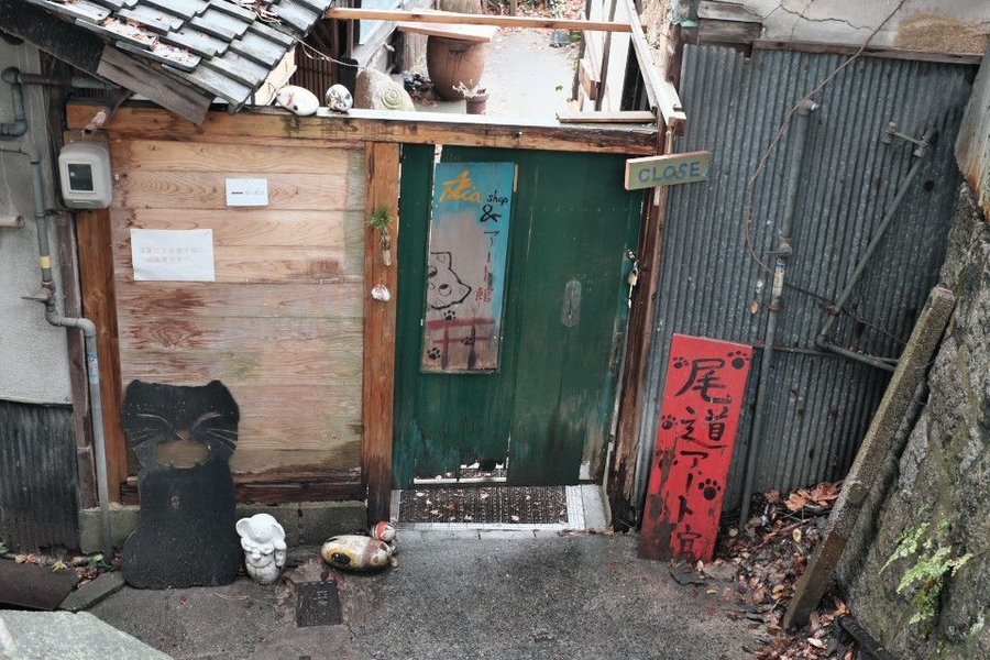 f:id:mafukuda3:20200113221009j:plain f:id:mafukuda3:20200113221009j:plain