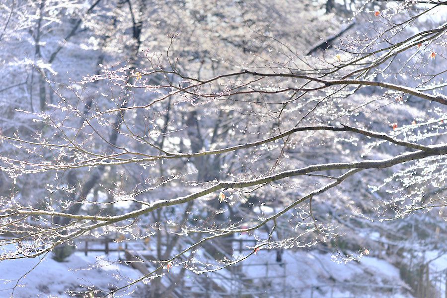 f:id:mafukuda3:20200114232125j:plain f:id:mafukuda3:20200114232125j:plain