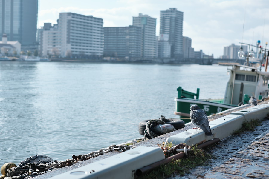 f:id:mafukuda3:20200120192540j:plain f:id:mafukuda3:20200120192540j:plain