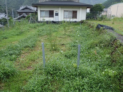 f:id:magasan:20140810201127j:image f:id:magasan:20140810201127j:image