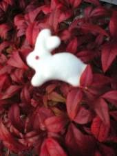 f:id:magatama:20081214001840j:image