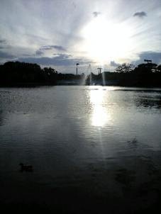 f:id:magatama:20091012232258j:image