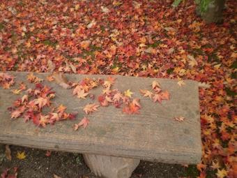 f:id:magatama:20091125225006j:image