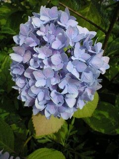 f:id:magatama:20100606152722j:image