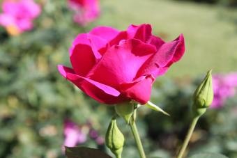 f:id:magatama:20101029162057j:image