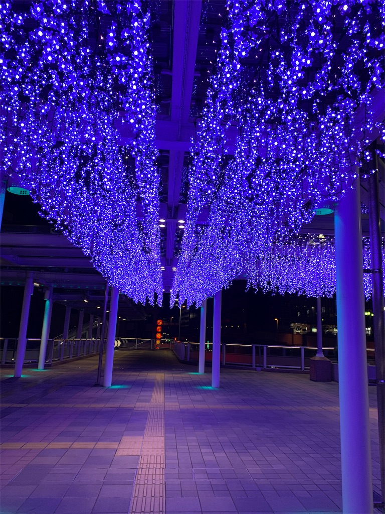 f:id:magatamamo:20240125094918j:image f:id:magatamamo:20240125094918j:image