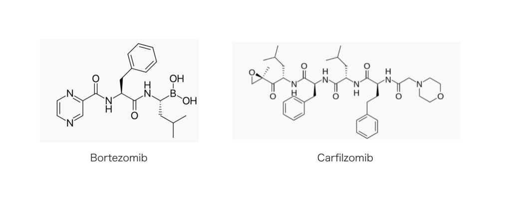 f:id:magattaca:20181209233529p:plain