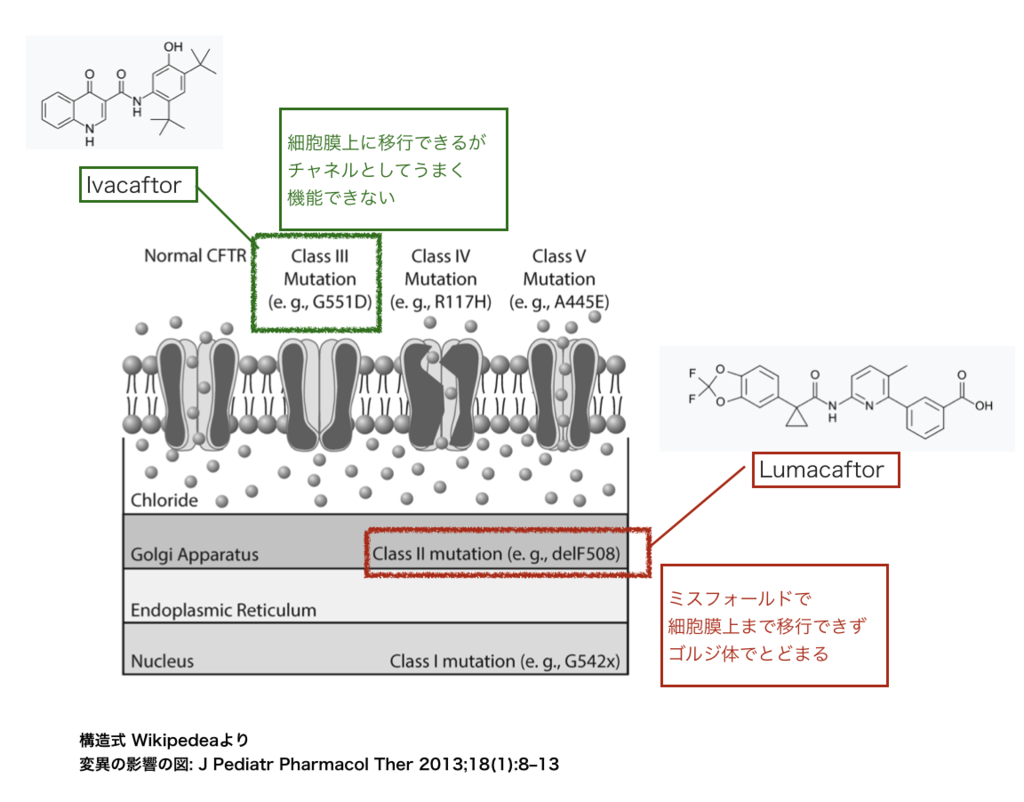 f:id:magattaca:20181212013349p:plain