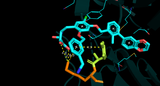 f:id:magattaca:20190311000259p:plain f:id:magattaca:20190311000259p:plain