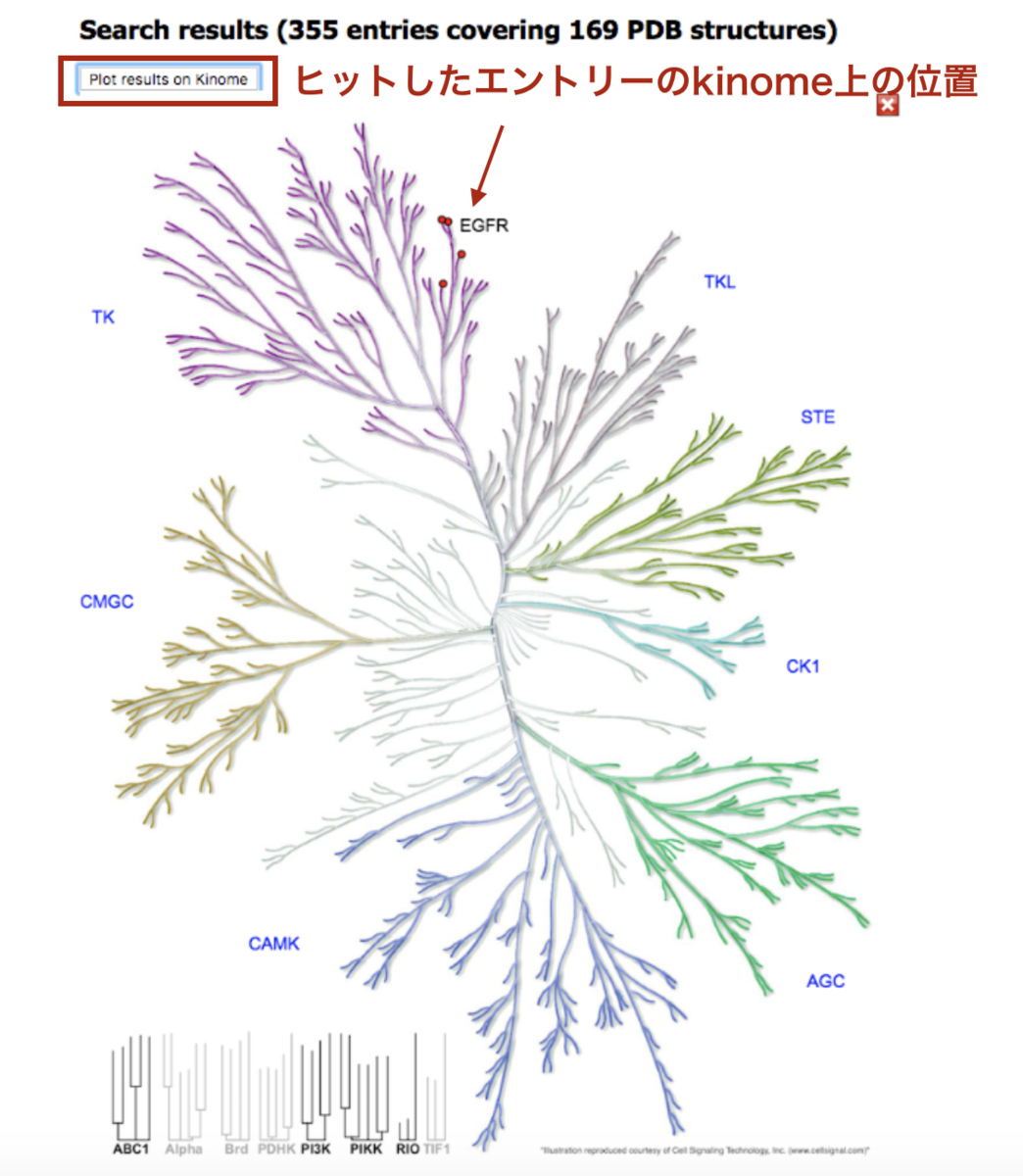 f:id:magattaca:20200510192821p:plain