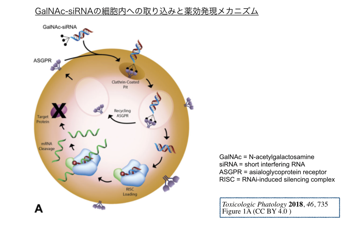 f:id:magattaca:20201109001548p:plain