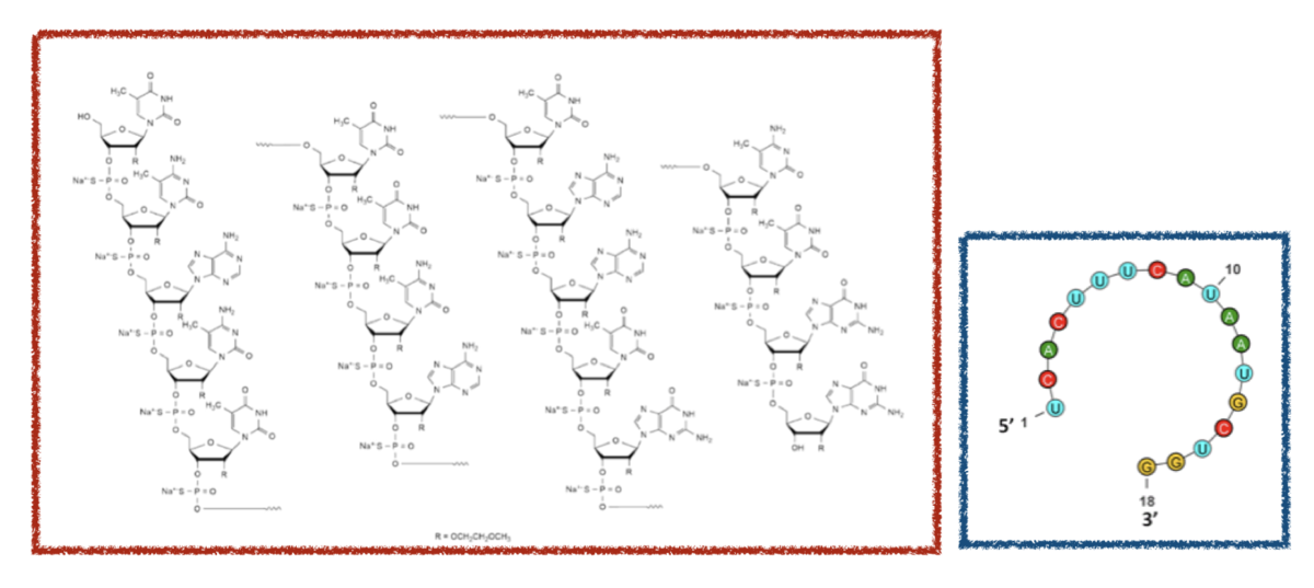 f:id:magattaca:20201109005050p:plain