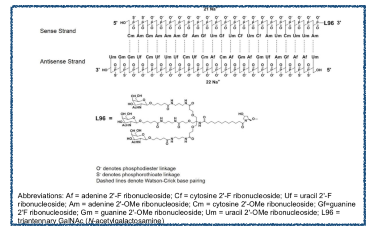 f:id:magattaca:20201109005325p:plain