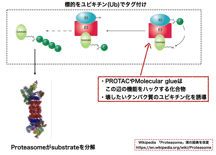 f:id:magattaca:20210606031456p:plain