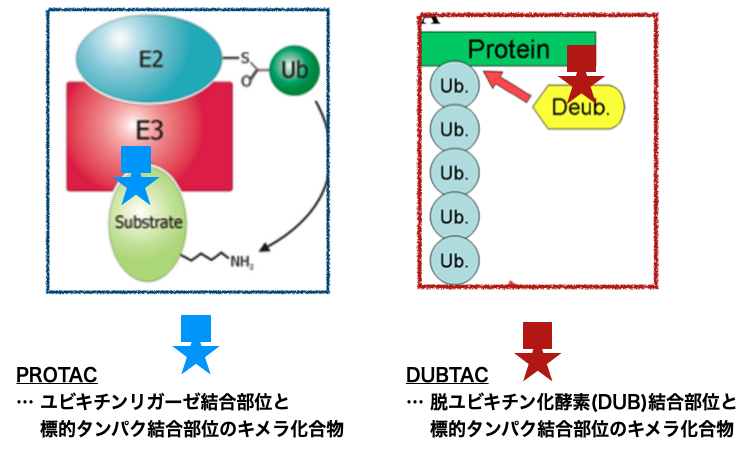 f:id:magattaca:20210606031720p:plain
