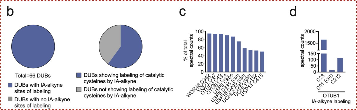 f:id:magattaca:20210606032603p:plain