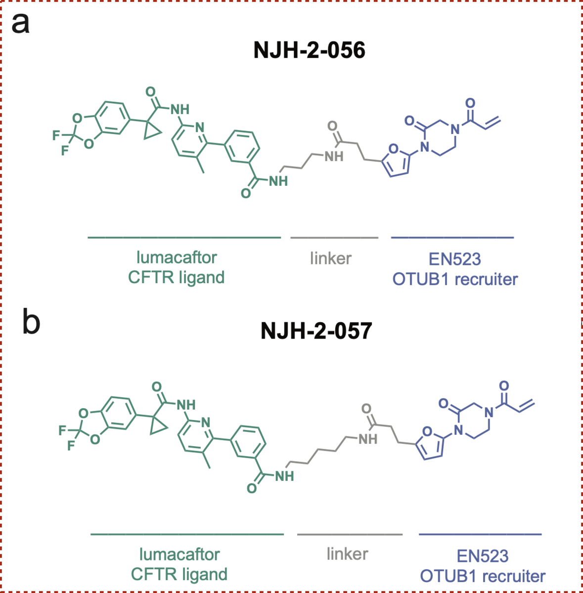 f:id:magattaca:20210606032947p:plain