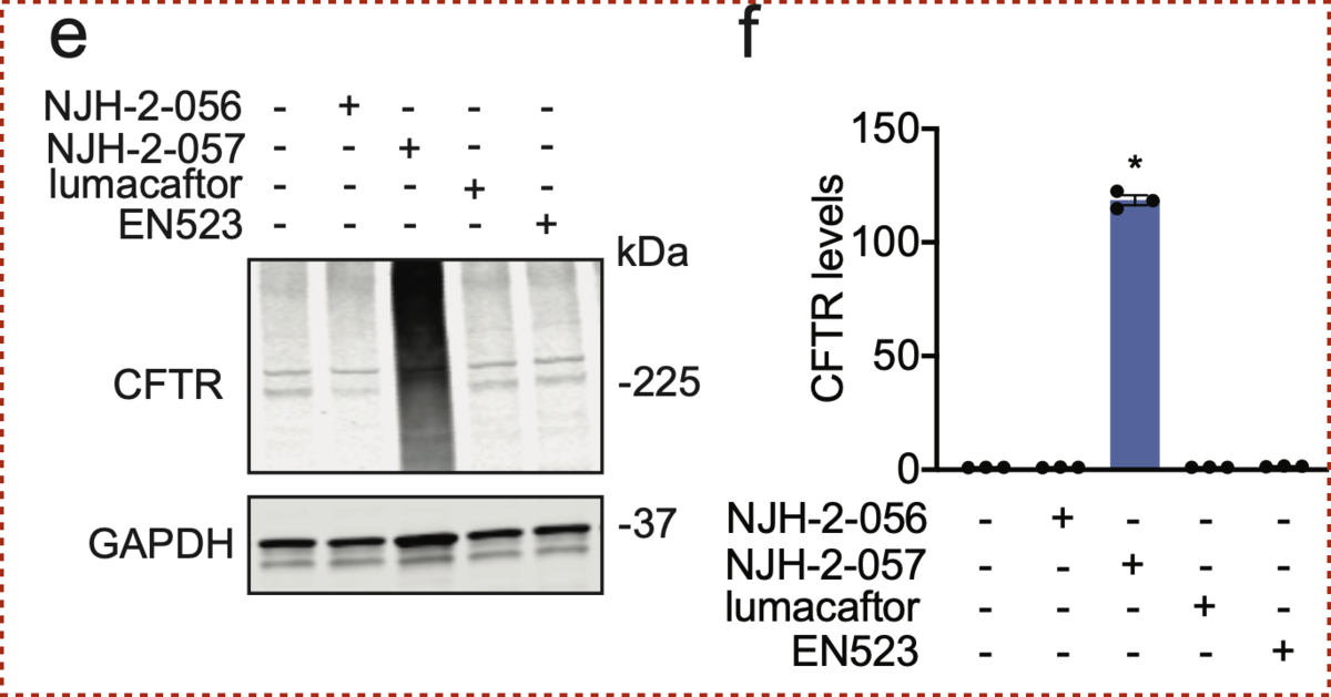 f:id:magattaca:20210606033142p:plain