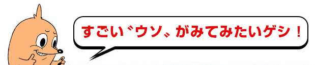 f:id:magazine_pocket:20180329155314j:plain f:id:magazine_pocket:20180329155314j:plain