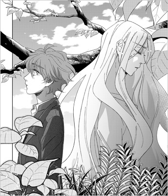 『芍焼』