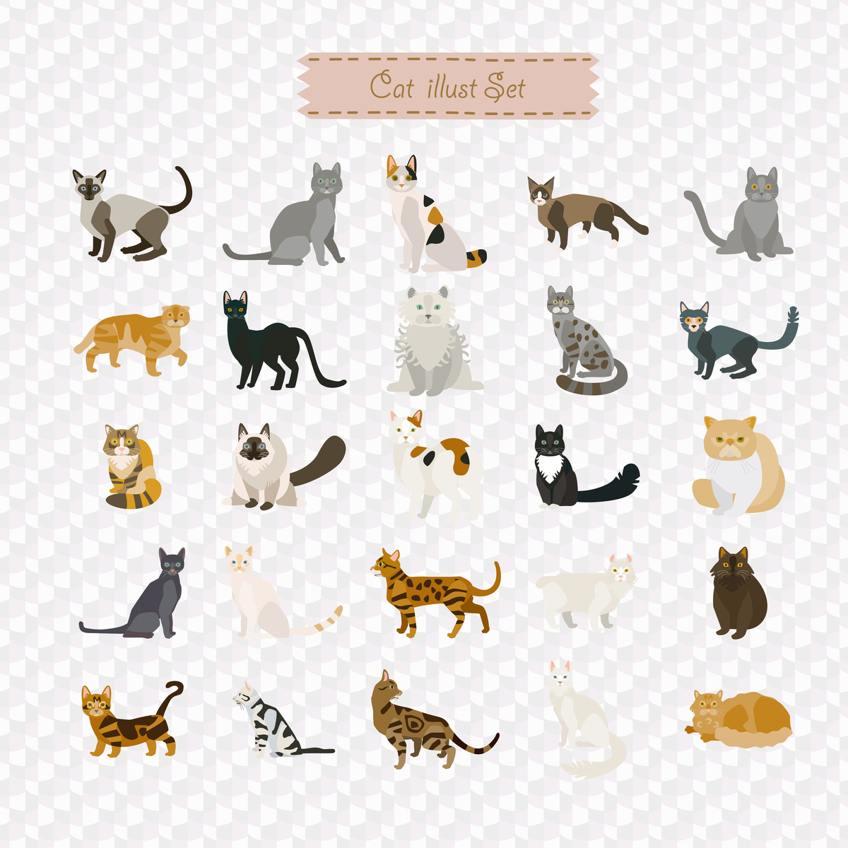 f:id:magcomi:20210430213636j:plain