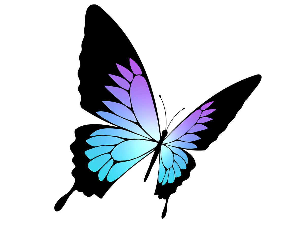 f:id:magcomi:20210823125600j:plain