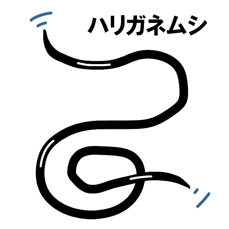 f:id:magcomi:20210824161236j:plain