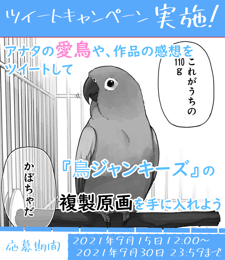 f:id:magcomi:20210907120550j:plain