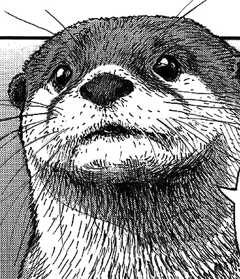 『Zoological World』