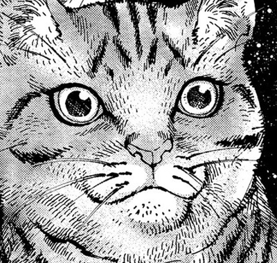 保定のできる猫型採血シミュレーター ねこにゃん – anifull