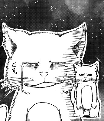 『うちの「宇宙猫」』