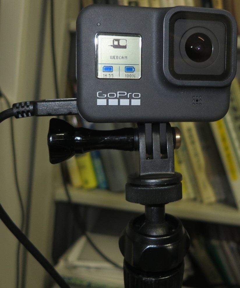 f:id:magcup:20200930093816j:image:w380