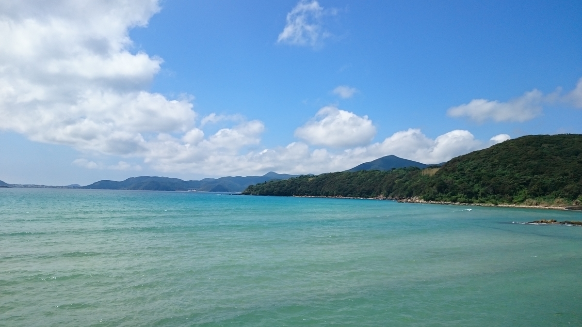 f:id:magellanica:20190318174211j:plain