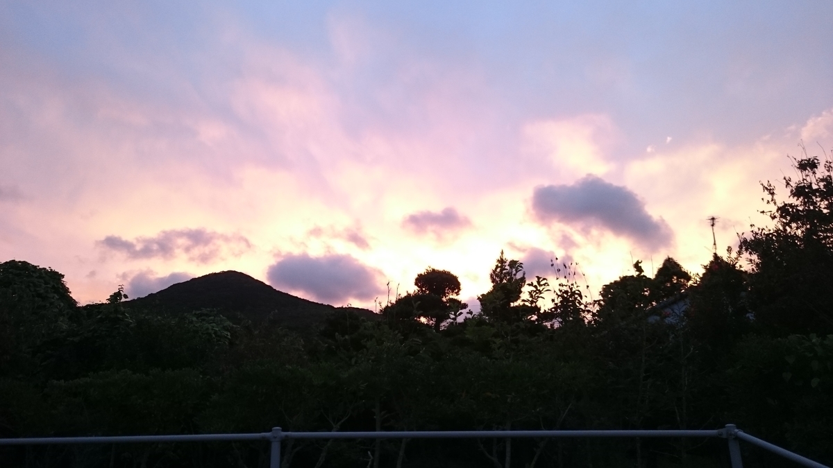 f:id:magellanica:20190318174537j:plain