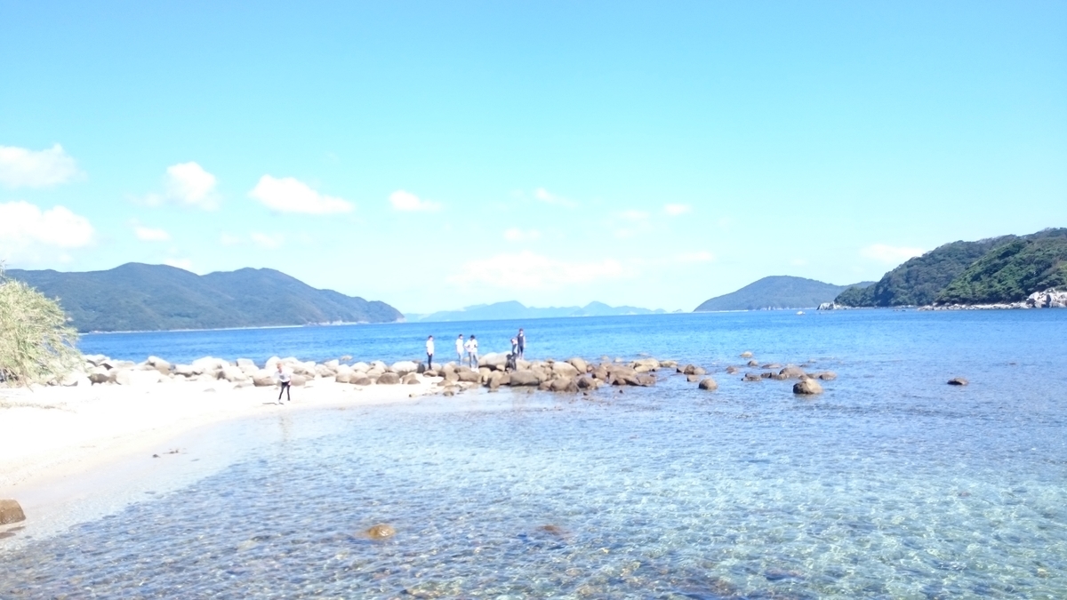 f:id:magellanica:20190318174539j:plain
