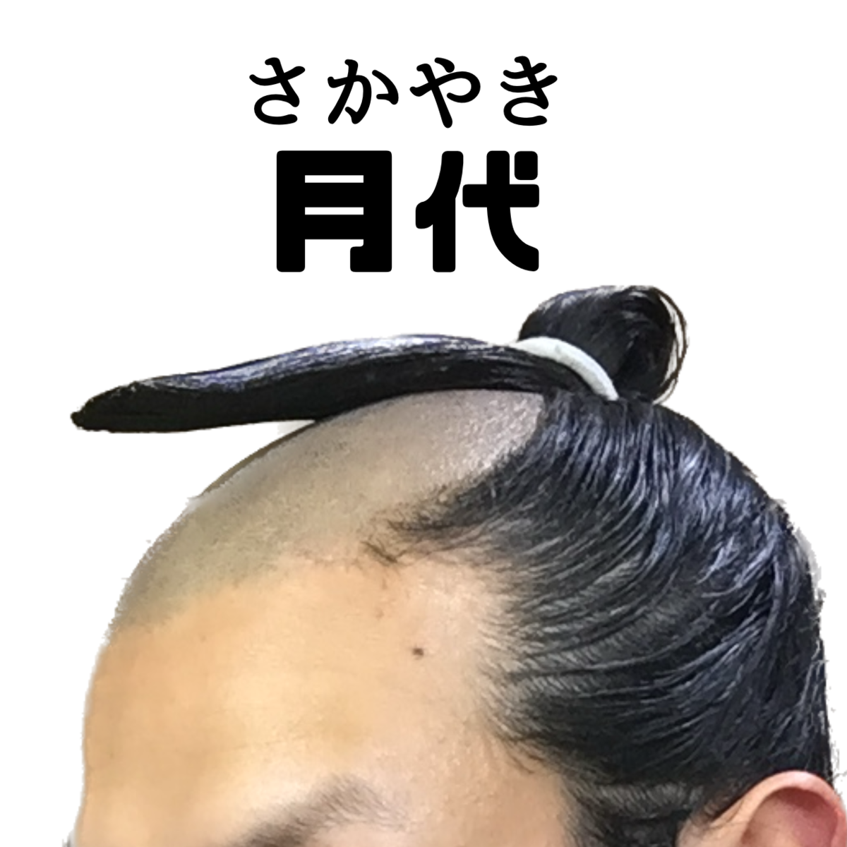 【地毛でちょんまげ】月代(さかやき)を作ろう!!! - magemeganeの日記