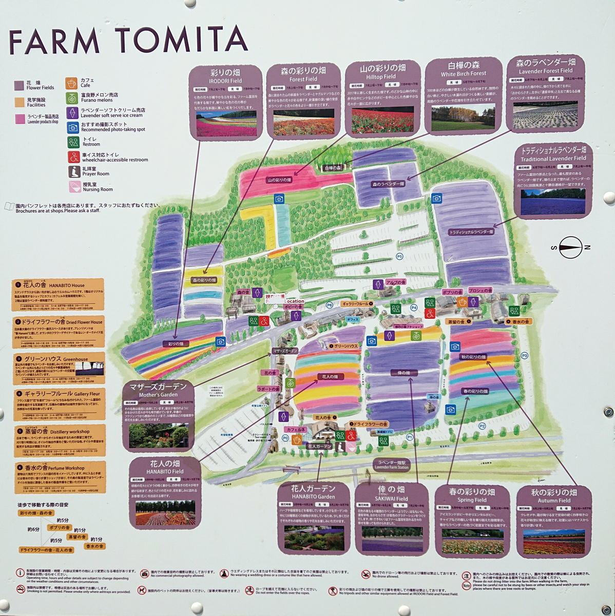 f:id:magic-gpen:20190728233409j:plain