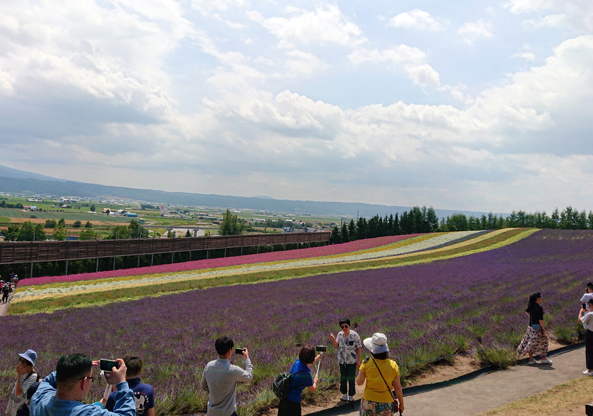 f:id:magic-gpen:20190728233415j:plain