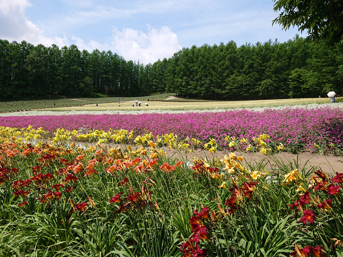 f:id:magic-gpen:20190728233423j:plain