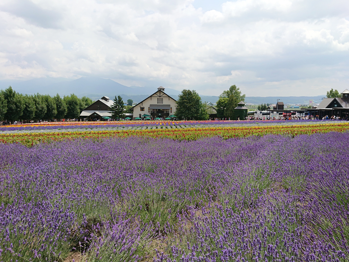 f:id:magic-gpen:20190728233430j:plain